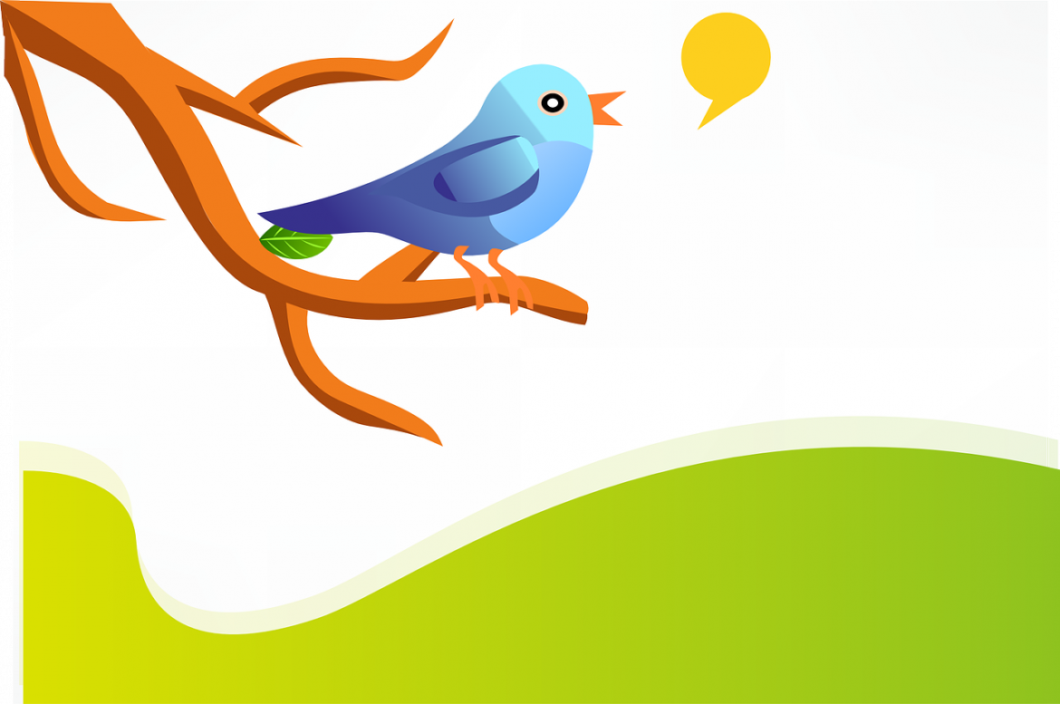 Twitter ziet aantal dagelijkse gebruikers stijgen tot 217 miljoen